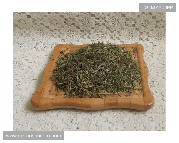 letou乐投手机版支持多平台同步登录,随时随地畅玩精彩纷呈的线上游戏 letou乐投手机版支持多平台同步登录,随时随地畅玩精彩纷呈的线上游戏