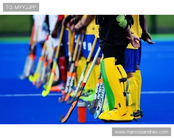 topball体育官网多样化的体育项目覆盖，满足不同用户的多样化需求