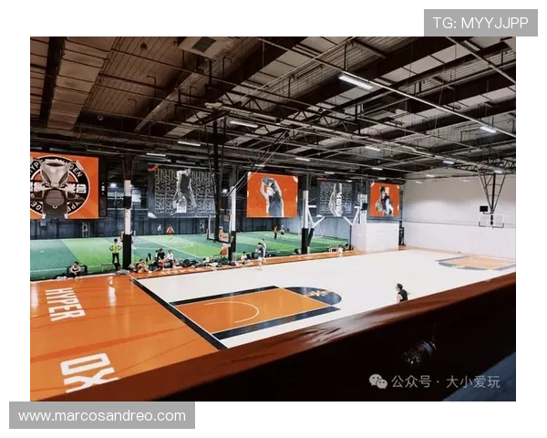 V+体育馆：体育馆内部空间布局优化与观众流动管理策略