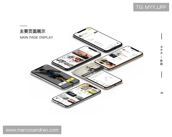 乐动体育app网页入口安全保障措施，确保用户在网页端的个人信息和资金安全