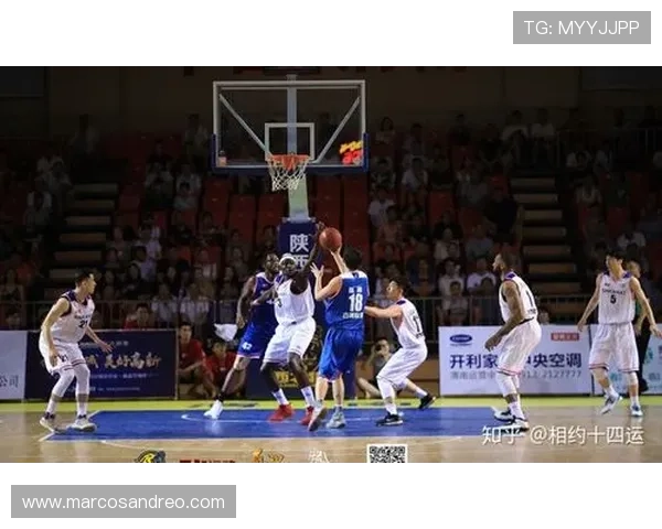 乐天体育app官网登录遇到问题怎么办,详细解决方案与常见问题解答 乐天体育app官网登录遇到问题怎么办,详细解决方案与常见问题解答