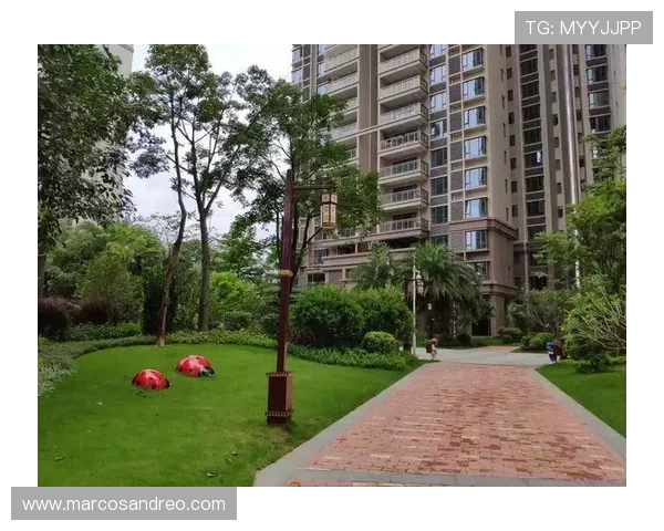 乐天体育中心：优化交通与配套设施提升整体服务水平