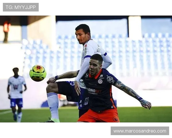 乐投letou俱乐部：丰富的体育赛事直播与互动交流平台介绍