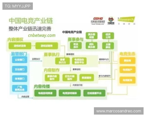 乐投竞猜软件：未来体育竞猜软件的发展趋势分析
