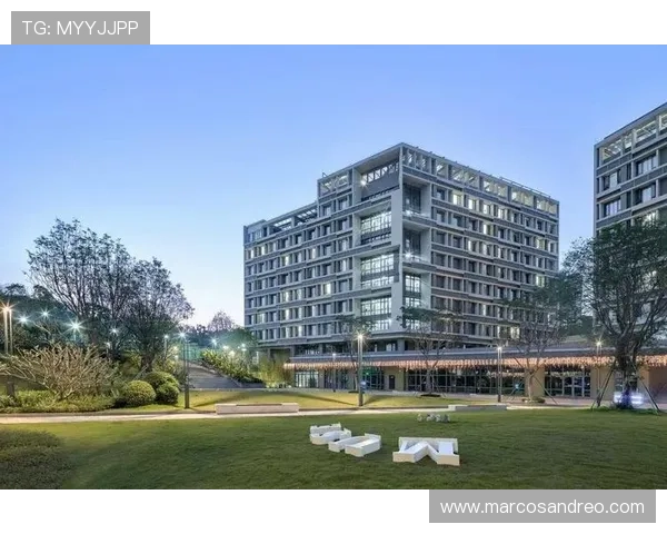 乐投集团：推动体育文化传播与产业融合的创新实践者